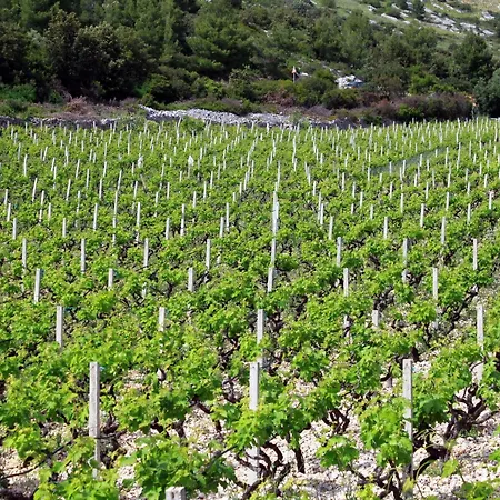 With Parking Space Ivan Dolac, Hvar - 592